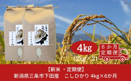 先行予約 [定期便4kg×6か月] 新潟県産 こしひかり 4kg(2kg×2袋)×6か月 新潟県 三条市 下田産 コシヒカリ 精米 白米 【060S006】