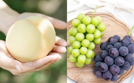 岡山白桃 （2～３玉） ＆ シャインマスカット ＆ 黒系ぶどう （1.5kg以上） の詰め合わせ 【2026年8月上旬から8月下旬頃発送予定】 ／ くだもの 果物 果実 フルーツ 桃 もも モモ ピーチ 白桃 ブドウ ぶどう 葡萄 マスカット 冷蔵 岡山県 美咲町