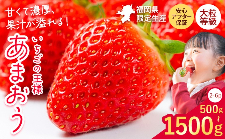 
                  ★2027年出荷分★いちご あまおう 500g 1000g 1500g【着日指定不可】《2月中旬-3月中旬頃出荷》いちご 福岡 あまおう【先行予約】
                