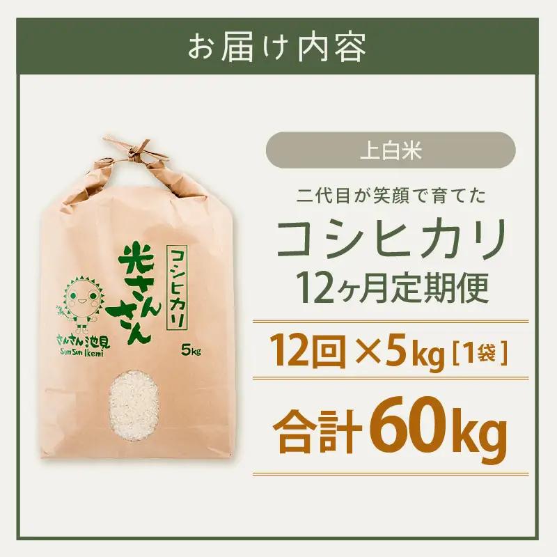 【先行予約】【令和8年産・新米】【12ヶ月連続お届け】12ヶ月定期便 コシヒカリ 5kg × 12回 上白米 定期便【2026年10月上旬以降順次発送予定】  [L-0205_01]