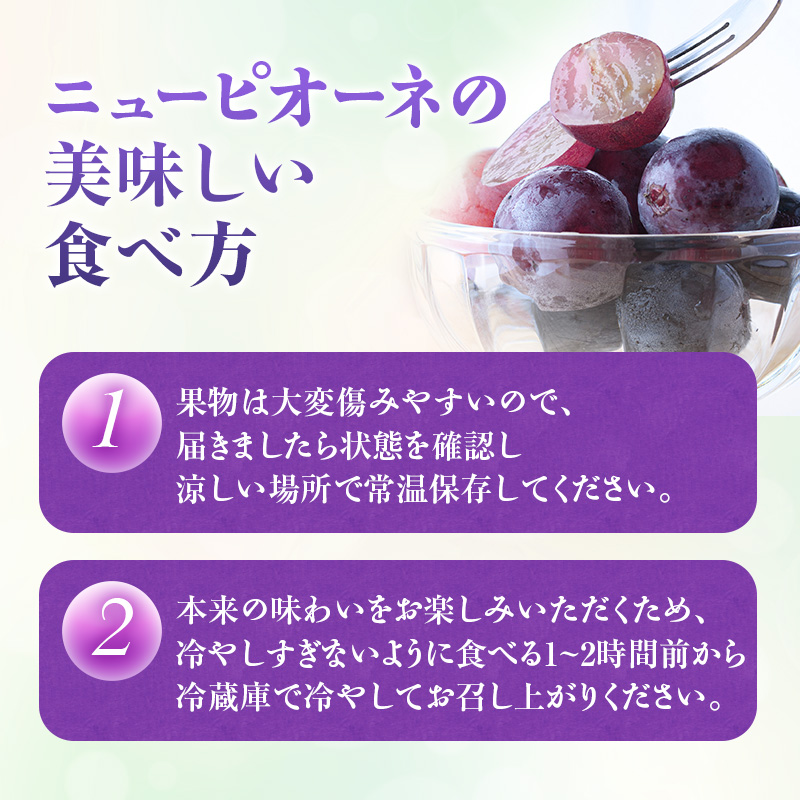 【2026年先行受付】 ぶどう ニューピオーネ 秀品 約2kg(3～5房) 岡山県産 ぶどう 葡萄 ブドウ ギフト 御礼 プレゼント 御礼 御祝 御供 果物 くだもの フルーツ