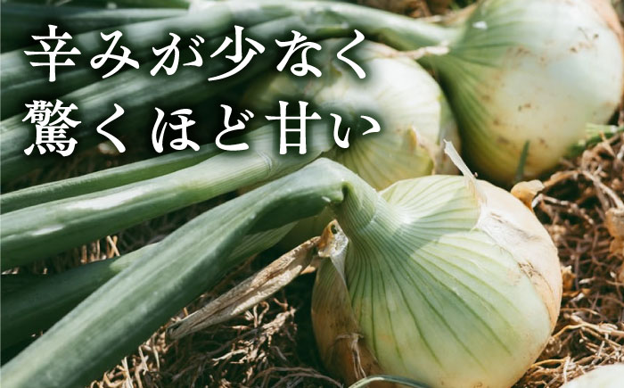 【数量限定100個】【先行予約/2026年6月上旬以降順次発送】美味しまねゴールド認証取得! 松江市産 春おとずれ新たまねぎ Lサイズ前後5kg 島根県松江市/mishiro farm [ALIJ00