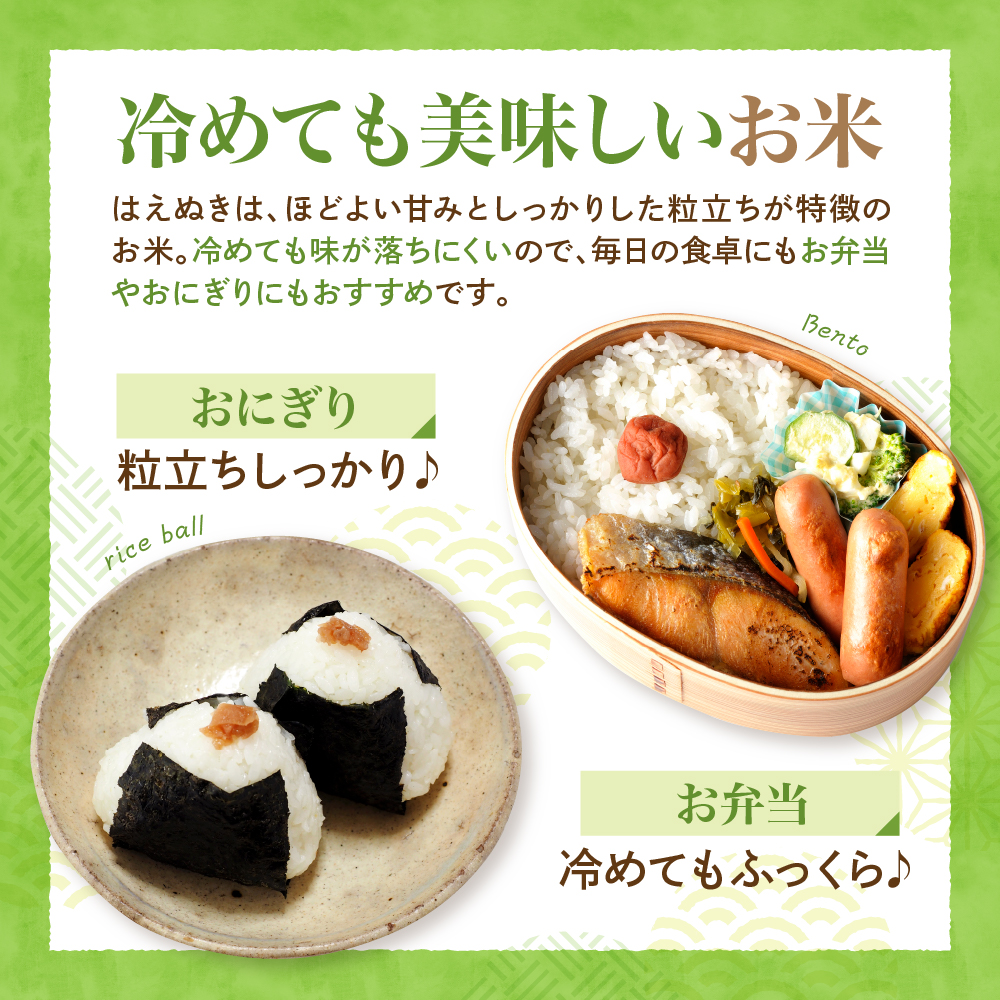 【令和7年産米】2026年4月中旬発送 はえぬき20kg（5kg×4袋） 山形県産 【JAさがえ西村山】