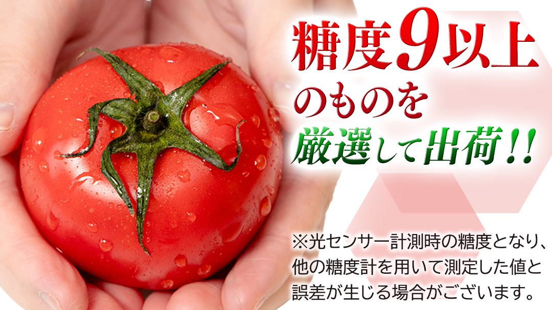 訳あり 糖度9度以上 スーパーフルーツトマト 大箱 約2.6kg × 1箱 (20～35玉/1箱)  2026年収穫分 先行予約 フルーツトマト ブランドトマト 野菜 ギフト 贈答 [BC038sa]