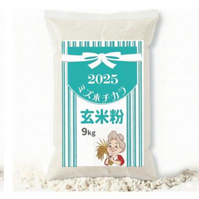 ふるさと納税 真庭市 パン・ピザ用 ミズホチカラ 玄米粉 9kg (900g ×10) 岡山 蒜山高原