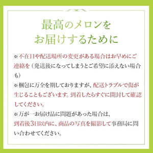 2026年先行予約【イバラキングメロン】＼生産量日本一！／茨城県鉾田市産 イバラキング メロン めろん 3玉～5玉｜方波見農園 《安心安全栽培》上品な甘さ 絶品 産地直送 青肉 高級 おすすめ 人気 