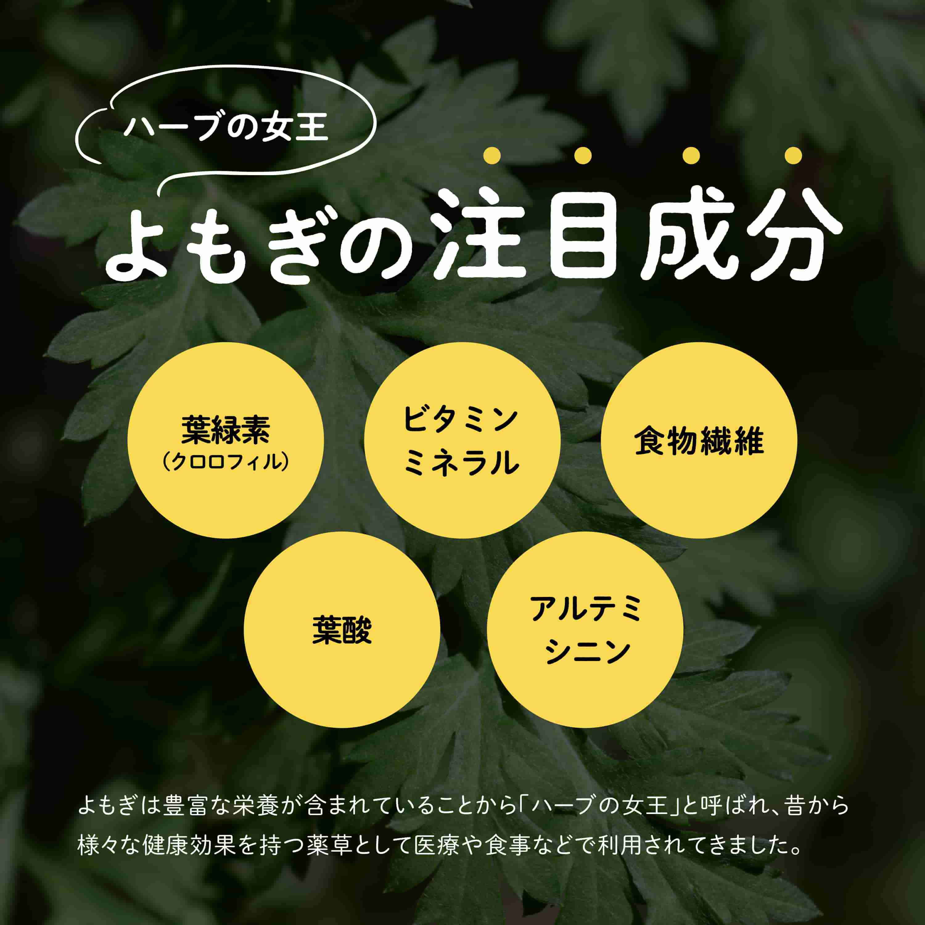 粉末は少量でも味と香りがよく出ますので、慣れない方はティースプーン1/3程からお試し頂き、お好みに合わせて調整してください。