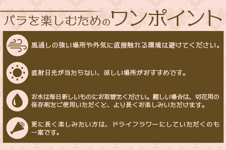 【先行予約・夏季限定 薔薇】ばら農家直送！バラ花束40本以上お届け(赤系) 【ギフト対応可】TB-5│ローズ 新鮮 花 フラワー 花束 ばら 薔薇 バラ 誕生日 記念日 結婚祝い ギフト プレゼント 