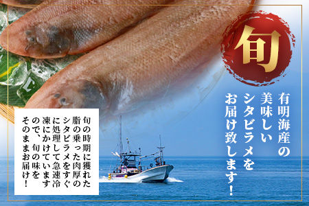 【ふるなび限定】【下処理済で簡単調理】有明海産 シタビラメ約150g×8尾【合計約1.2kg】煮つけ・唐揚げにおススメ【脂ののって美味しい】鮮度抜群 D-178 FN-Limited