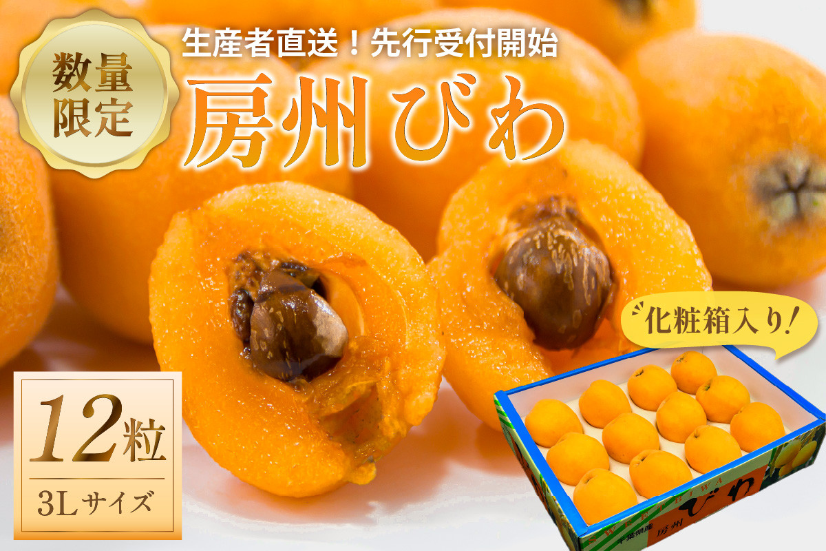 
            【2025年5月下旬～6月中旬発送予定】房州びわ3Lサイズ以上×12粒（化粧箱入り） mi0044-0015
          
