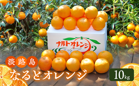 淡路島 なると オレンジ 10kg なるとオレンジ フルーツ 果物 春 旬 兵庫県 洲本市