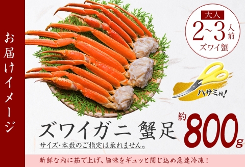 3375.  ボイルズワイガニ足 800g 約2-3人前 食べ方ガイド・専用ハサミ付 カニ かに 蟹 海鮮 送料無料 期間限定 数量限定 北海道 弟子屈町