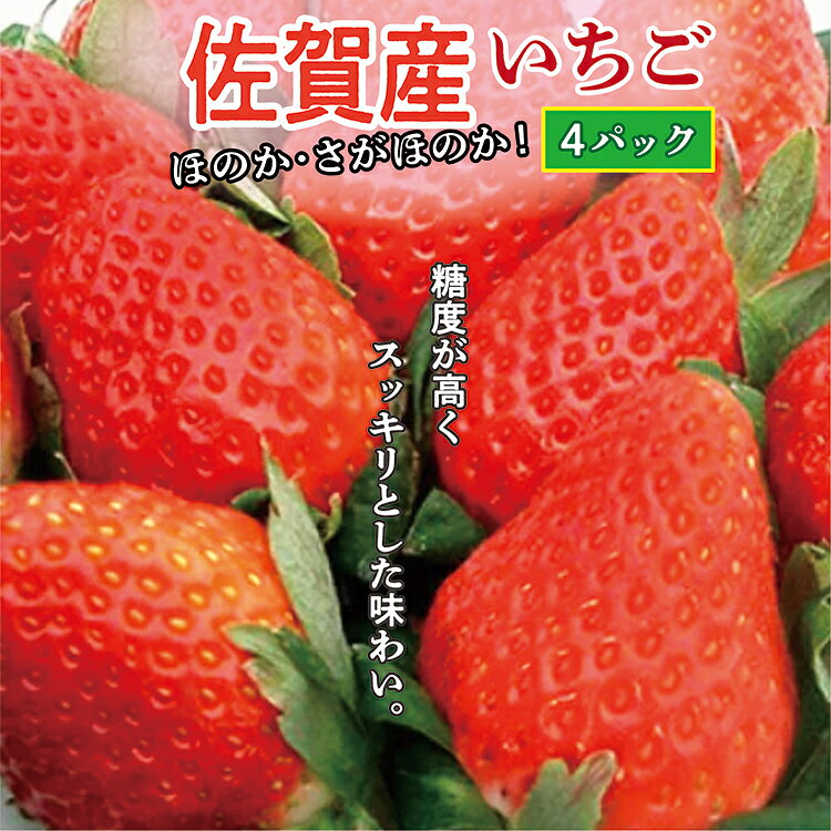【ふるさと納税】【2027年1月から順次発送】佐賀産 いちご ほのか さがほのか 品種おまかせ 4パック 苺 イチゴ 佐賀県 産 いちご ほのか さがほのか 4パック フルーツ 果物 ギフト 贈答用 家庭用 b-387