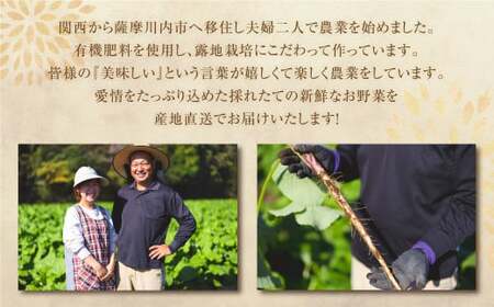 ZS-797 鹿児島県産 土付き ごぼう 約3kg【規格外・訳あり品】【2026年12月上旬-2027年3月下旬迄順次発送予定】