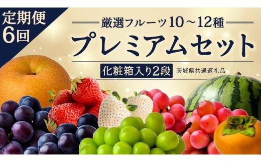 定期便【化粧箱入り2段】厳選フルーツ10〜12種プレミアムセット【毎月1回連続6か月(計6回)】（茨城県共通返礼品） 田舎の頑固おやじが厳選！ 人気 厳選 果物 くだもの 旬 旬の果物 旬のフルーツ 上級品 極上 贅沢 極み フルーツ フルーツセット ギフト プレゼント 贈り物 冷蔵