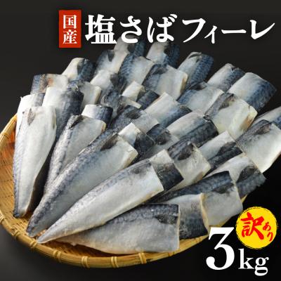 ふるさと納税 石巻市 さば 〈 訳あり 〉 国産 塩さば フィーレ 3kg 冷凍 さば 切身 フィレ 鯖 不揃い 石巻応援