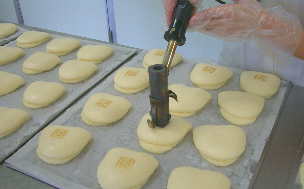 大とろ角煮まんじゅう10個 (箱) ／ 岩崎本舗 角煮まん 角煮饅頭 角煮 豚肉 長崎名物 長崎