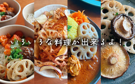 れんこん 新鮮な朝採れ 2kg れんこん