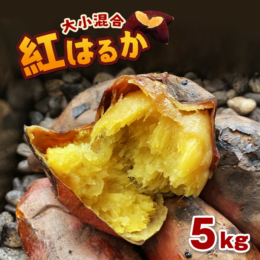 【ふるさと納税】【 先行予約 】さつまいも 5kg 紅はるか 密芋 野菜 国産 熊本県 和水町 くまもと県 甘藷 からいも サツマイモ かんしょ 芋 食物繊維豊富