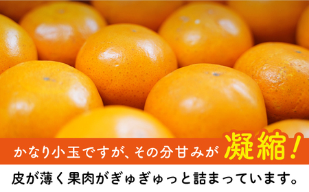 【小玉みかん】盛田みかん2S約5kgー2025年12月より発送ー[EBI013]みかん長崎みかん小玉みかん盛田みかん長崎みかん