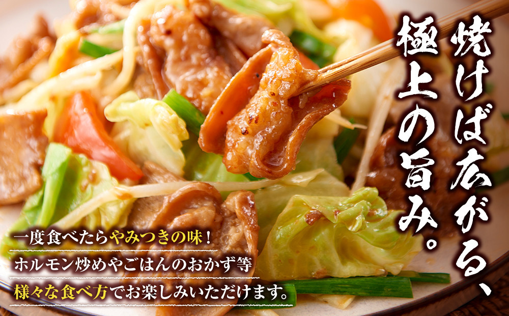 ＜訳アリ＞和牛トロホルモン　特製味噌漬け　0.9kg(300g×3）【2026年5月発送】
