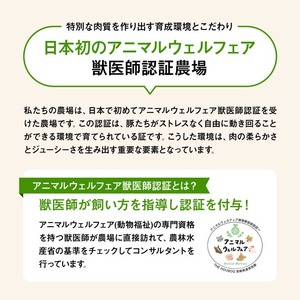 【12ヶ月定期便】宮崎県川南町産豚肉　放牧豚定期便 【 豚 肉 豚肉 国産 九州産 宮崎県産 川南町 加工品 セット 送料無料 】
