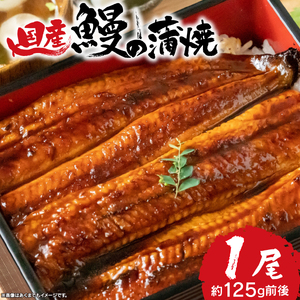 国産 うなぎ 長 蒲焼 お試し 1尾 約125g 鰻 丑の日 人気 静岡県 沼津 うなぎ うなぎ うなぎ うなぎ