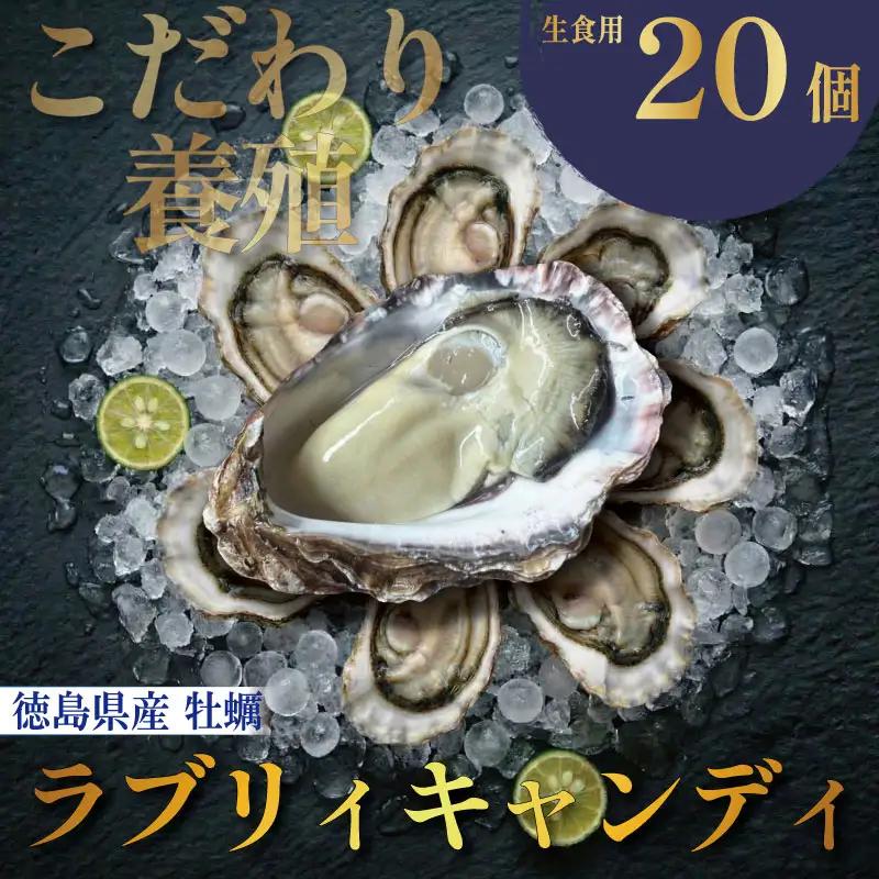 【先行予約】 牡蠣 生牡蠣 殻付き 20個 生食可 (ナイフ付き)ラブリィキャンディ 真牡蠣 かき カキ