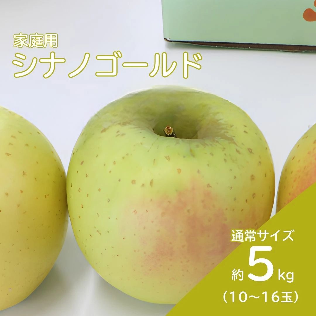 KR32 りんご シナノゴールド 家庭用 約5kg（10～16玉）／10月下旬頃～配送予定//長野県 南信州 リンゴ 林檎 黄色りんご 訳あり 自家用 農家直送 農家支援 産地直送