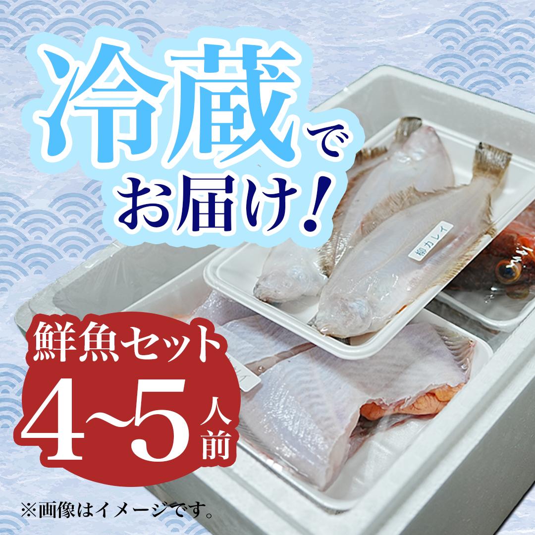 鮮魚 冷蔵 クール便「 開けたらすぐ食べられる下処理済み 海産物 4～5人前 セット 」さとう鮮魚店【 パック 詰め合わせ 海鮮セット 鮮魚ボックス 海鮮 海の幸 魚介 魚介類 刺身 切り身  秋田県