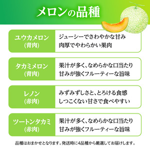 先行 予約 青森 メロン スイカ 各1玉 減農薬栽培 夏の味覚 減農薬 青肉 赤肉 青肉メロン 赤肉メロン フルーツ 果物 旬のフルーツ 旬の果物 旬 夏 レビュー 高評価 先行予約 2026 202