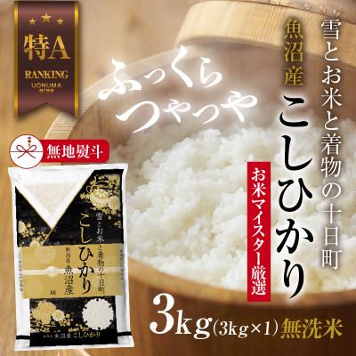 ふるさと納税 十日町市 【無地のし】 無洗米 魚沼産 コシヒカリ 3kg 新潟県 十日町市 お米の美味しい炊き方ガイド付き
