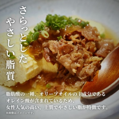 能登牛 切り落とし 500g(200g+300g)【配送不可地域：離島】
