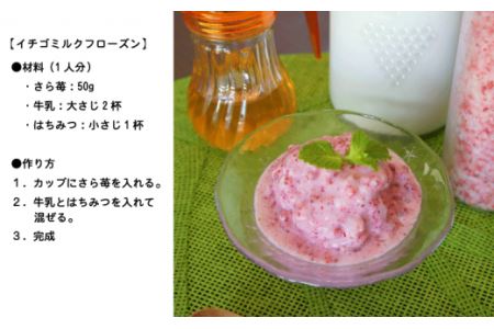 74-41　園村苺園　熊本県宇土産 完熟冷凍いちご「さら苺」1kg（500g×2パック）