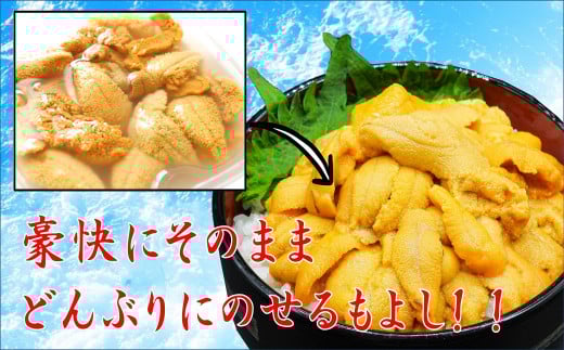 【5月より発送】天然生うに 100g 国産 【配送日指定不可】《キタムラサキウニ》《無添加》《三陸産は濃厚な味》［05］