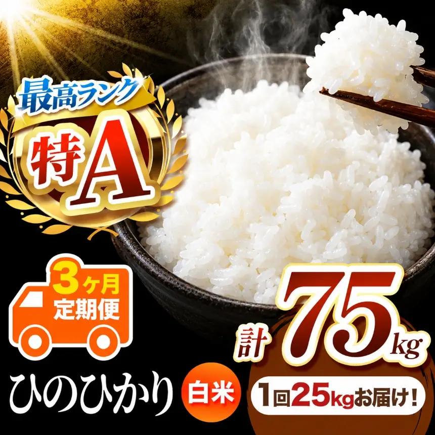 【 定期便 3回 】 R7年産 熊本県産 白米 ひのひかり 25kg