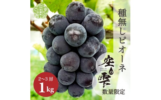 
                  種無しピオーネ 約1kg(2～3房)【ご家庭用･先行予約】数量限定 空の雫 ピオーネ ぶどう 葡萄 ブドウ フルーツ 果物 くだもの 産地直送 世羅 世羅産 サンワファーム 【2026年9月上旬以降順次発送】 A025-01
                