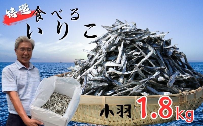 
特選海の幸自然の味　小羽　いりこ（煮干し）1.8kg 大島海産
