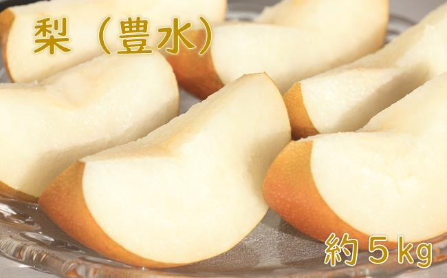 
                  梨（豊水）（約５kg）【2027年発送分】※来年度発送分
                