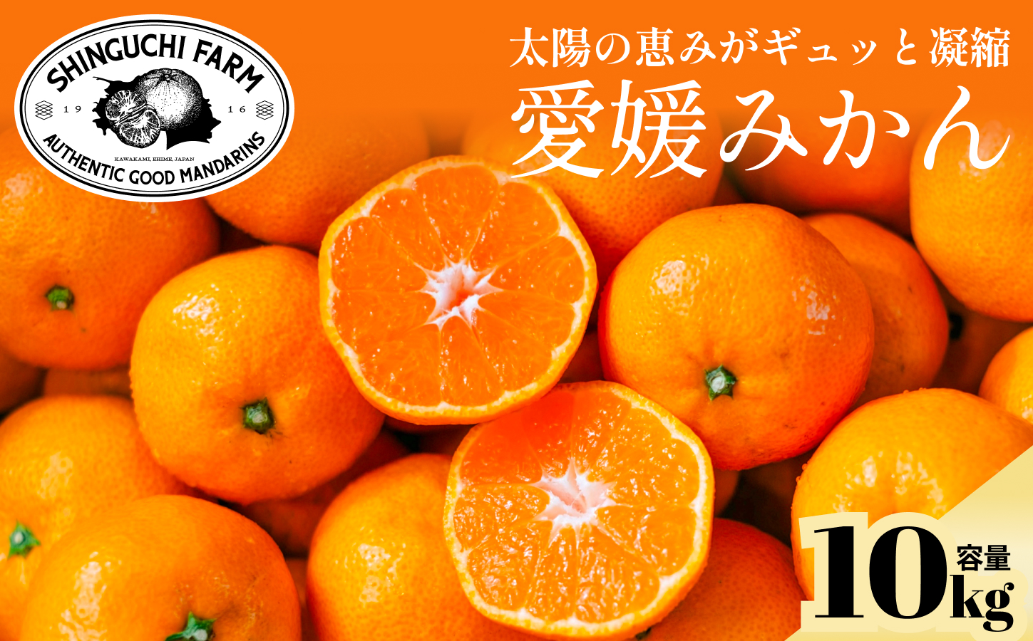 【先行受付】【小玉サイズ限定】五代目が厳選した愛媛みかん 10kg【愛媛県川上産】【E70-93】【1671190】 YWTK092