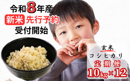 【令和8年産新米・先行予約】【12回定期便】あわくら源流米 コシヒカリ 玄米 10kg｜西粟倉村産・昼夜寒暖差が育む甘み｜ふるさと納税 K-ac-DFZA