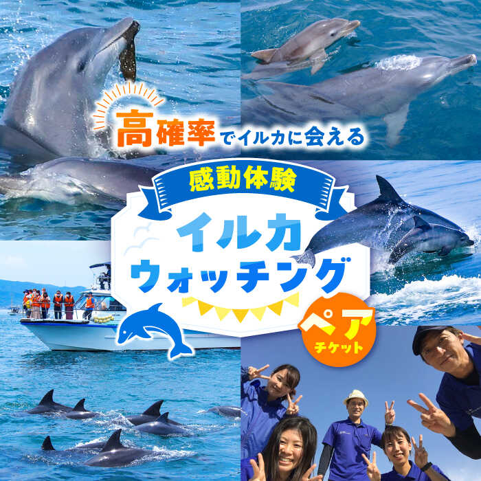 【ふるさと納税】南島原 イルカウォッチング ペア チケット / チケット ちけっと 体験型 観光チケット イルカ体験 貸し切り / 南島原市 / 南島原イルカウォッチング [SAE001]