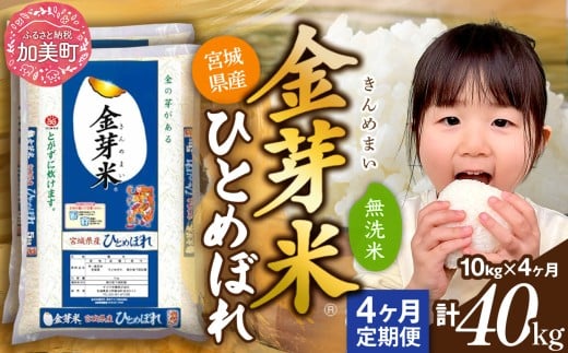 【定期便 4回】 金芽米 無洗米 令和7年産 宮城県産 ひとめぼれ 計40kg( 10kg ×4回) [カメイ 宮城県 加美町 km-my-knm10-t4-r7] 4ヶ月 米 お米 こめ コメ 精米 白米 きんめまい