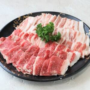 国産牛豚焼肉用盛り合わせ【配送不可地域：離島】【1587673】