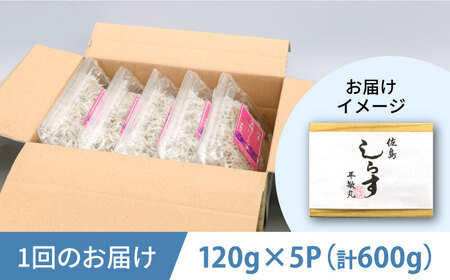 【全6回定期便】釜揚げ 湘南しらす 600g 小分け 120g×5パック【平敏丸】 [AKEZ006]