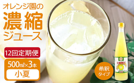 オレンジ園の濃縮ジュース 小夏 500ml 3本 12回定期便 希釈用 【J00121】