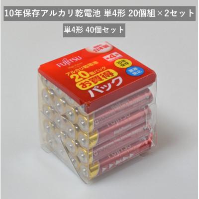 ふるさと納税 湖西市 10年保存アルカリ乾電池　単4形　20個組×2セット　合計40個