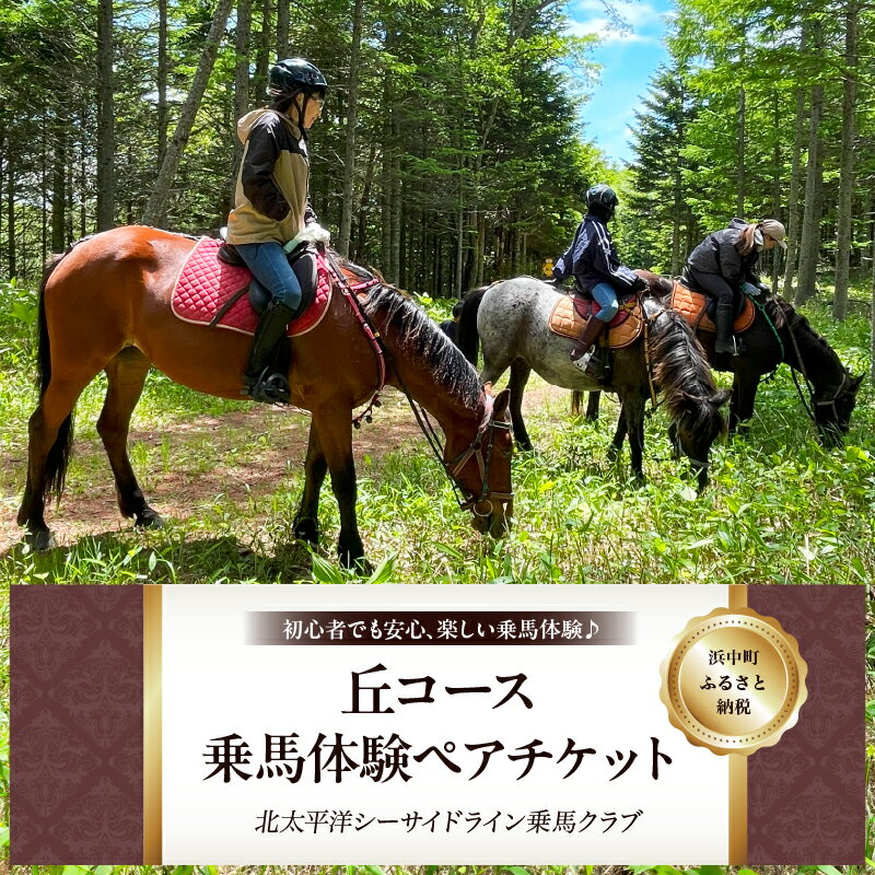 【ふるさと納税】乗馬体験 （丘コース） ペアチケット アクティビティ レジャー アウトドアスポーツ チケット 馬 ふれあい 大自然 草原 トレッキング 散歩 子供 初心者 気軽に体験 体験コース 体験ツアー おすすめ 北海道 浜中町 送料無料
