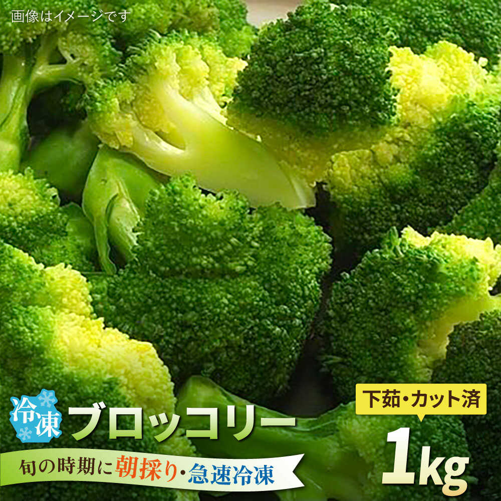 【ふるさと納税】ブロッコリー 1kg 冷凍 旬の時期に急速冷凍 【福岡県糸島産】 糸島市 / オーガニックナガミツファーム 野菜[AGE053] 21000円 2万1千円