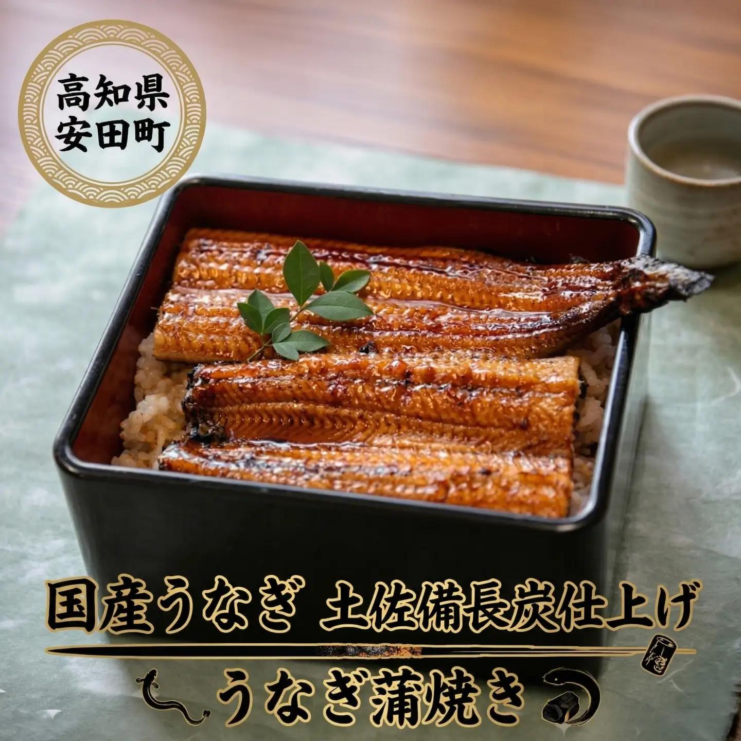 【海鮮セット】国産うなぎ蒲焼き 5尾 海鮮 | 高知県安田町 YK0002